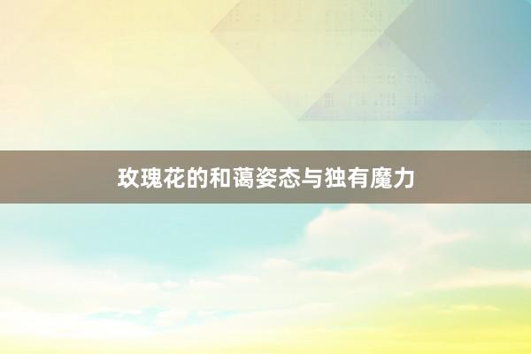 玫瑰花的和蔼姿态与独有魔力