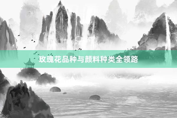 玫瑰花品种与颜料种类全领路