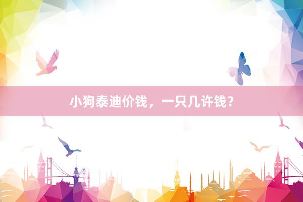 小狗泰迪价钱，一只几许钱？
